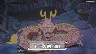 ワンピースアニメ パンクハザード編 611話 モモの助 | ONE PIECE Episode 611