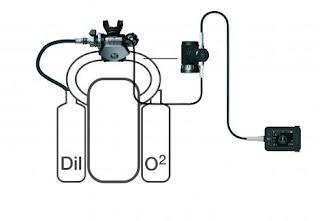 Ecosistema M28, Solid State Sensor e C-POD