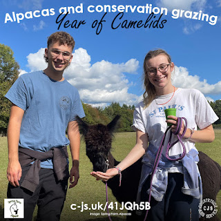 2 smiling young people leading and feeding a black alpaca in a cloudy blue sky. Text reads: Alpacas and conservation grazing - Year of Camelids