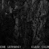 Shine Lethargy / Sleep Column ‎– Split