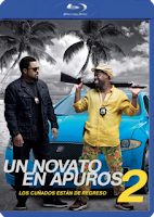  UN NOVATO EN APUROS 2 (2016)