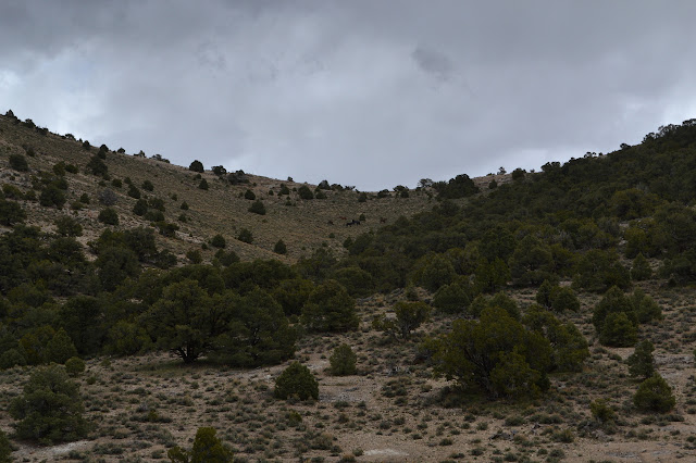 dark spots below a low saddle