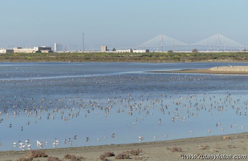 Cadiz-Salina Dolores - San Fernando - Salina Tres Amigos - Rio Arillo