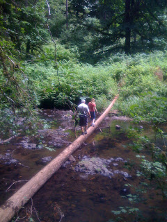 crossing the creek