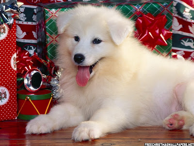 Christmas Puppy Wallpaper