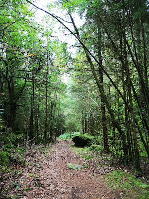 Molla Bokskog i Herrljunga