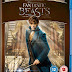 Fantastic Beasts and Where to Find Them 2016 Dual Audio ORG Hindi 480p BluRay 400MB