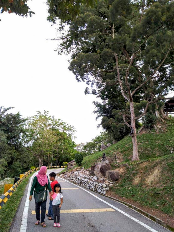 Bukit Melawati, Kuala Selangor banyak monyet