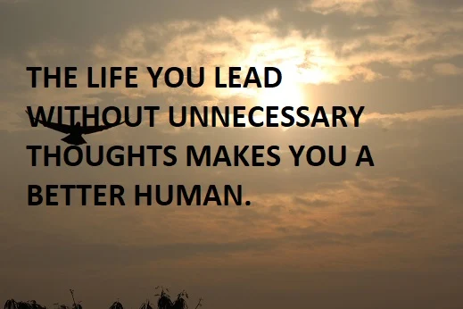 THE LIFE YOU LEAD WITHOUT UNNECESSARY THOUGHTS MAKES YOU A BETTER HUMAN.