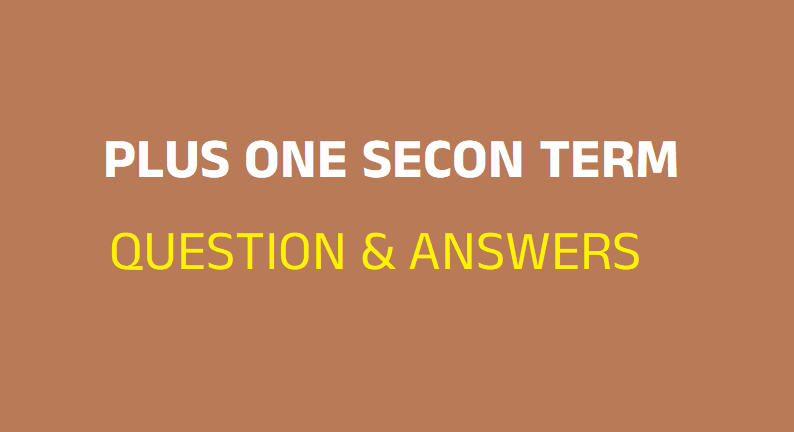 Plus One Second/Mid Terminal Question Papers and Answer Key