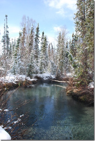 04-22-09 Liard Springs 018