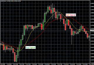 Forex Training Centre Cirebon