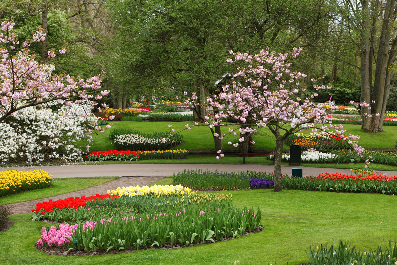 Most Beautiful Flower Gardens