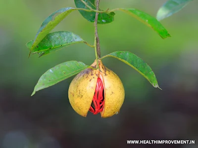 Nutmeg in Hindi