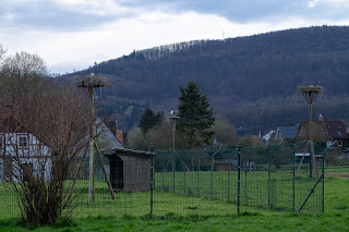 Storchenverein e.V. Elbrinxen Weserbergland Olaf Kerber