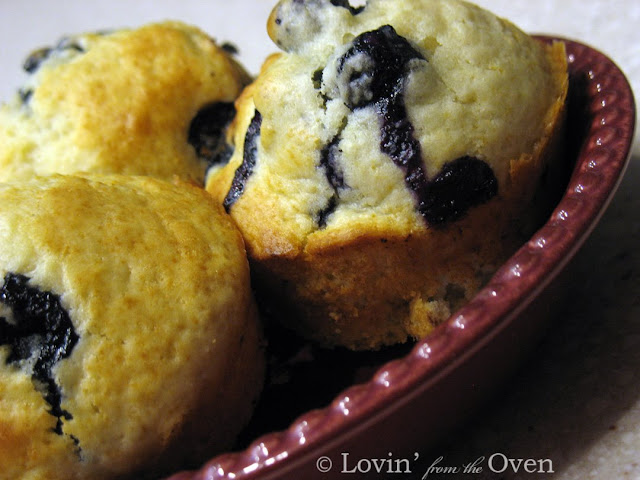 Fresh Blueberry Muffin