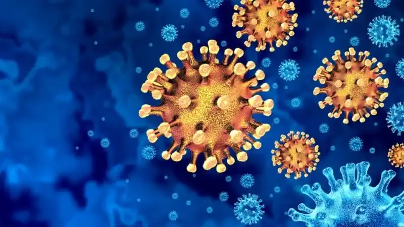 سلالة جديدة لفيروس كورونا تثير الرعب لصعوبة إيقافها