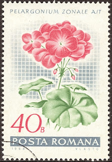1968 Posta Romana - Pelargonium Zonale, Muscata
