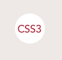 css3