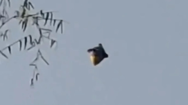 This UFO sighting was filmed over Veracruz in Mexico in November 6th 2012.