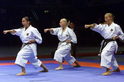 Analisis Kondisi Fisik Cabang Olahraga Karate Analisis 