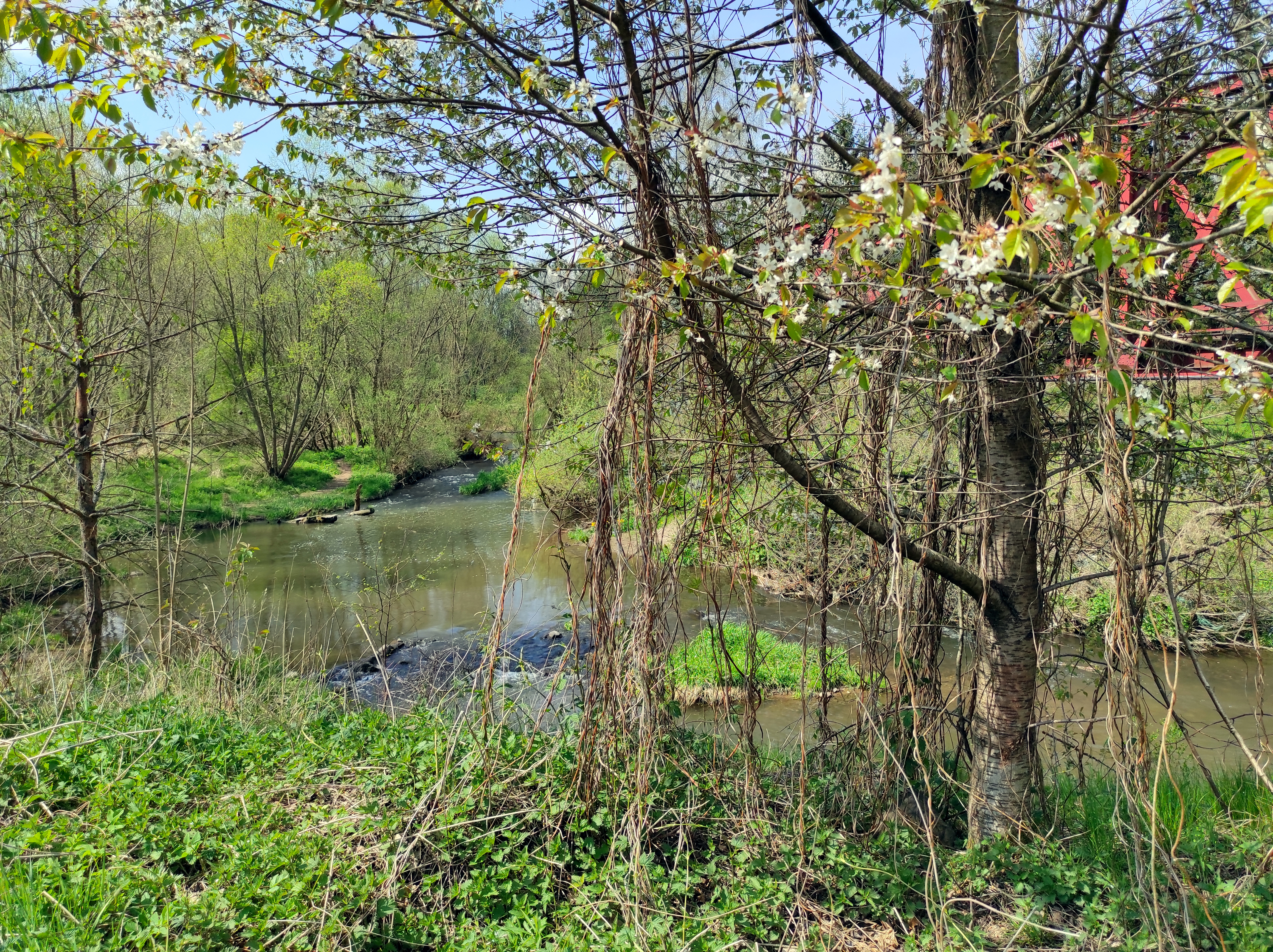 okolice wiszących torów