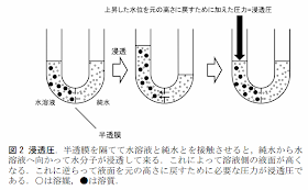 浸透圧