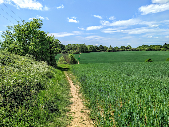 Footpath on Walk 180