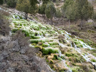 Chorron de Cabrejas del Pinar