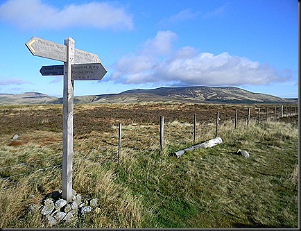 Cheviots oct 2011 020