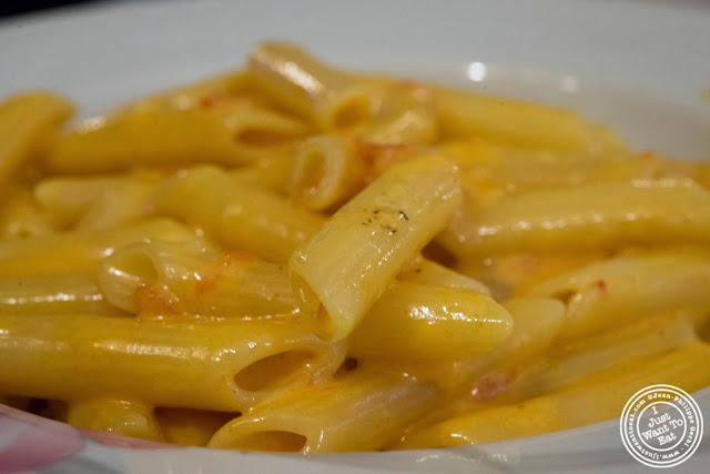 image of penne a la vodka at Il Colosseo in Bensonhurst, Brooklyn, New York