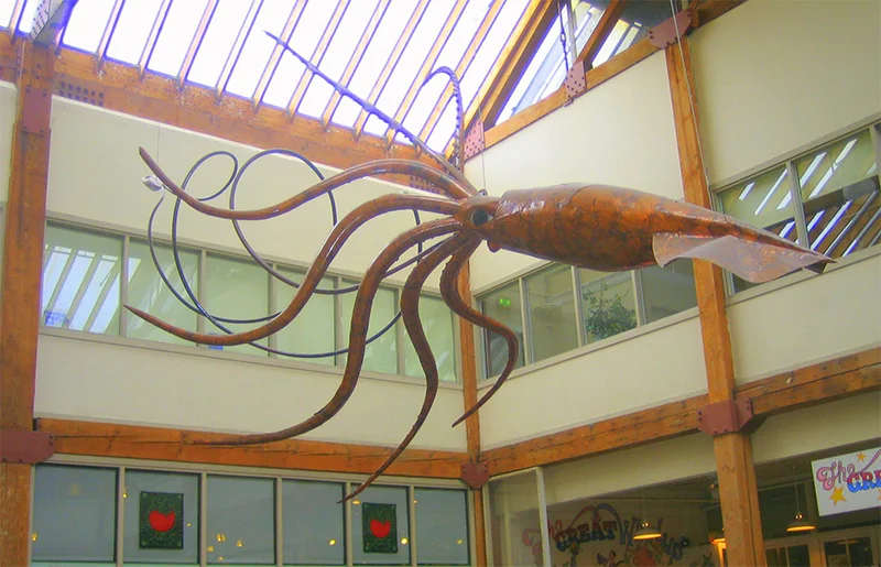 Giant Squid