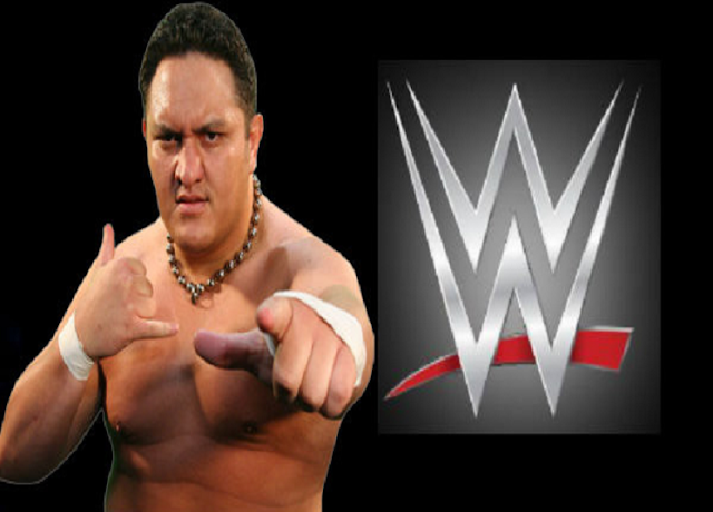 Samoa Joe Hd Free Wallpapers