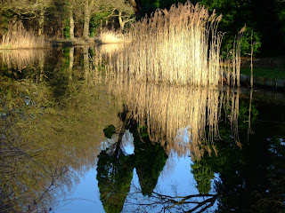 Wey Navigation