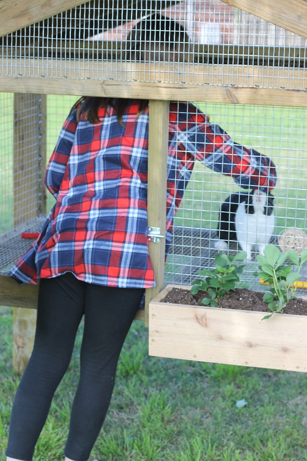 bunny hutch with lots of room