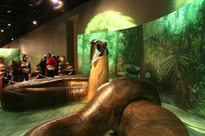 Titanoboa