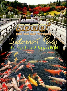 Sogo4d daftar baru