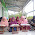 Baitul Quran Adibatussumayyah: Buka  Program Tahsin & Tahfizh Non Muqim Angkatan I