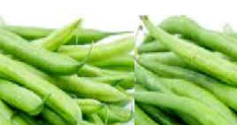 French Beans meaning in hindi, Spanish, tamil, telugu ...