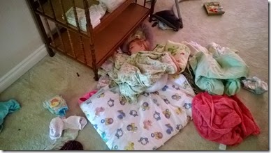 Eva nest