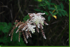 mht223E(1)