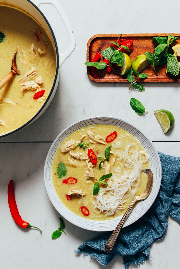 Thai Inspired Chicken Noodle Soup - and other Biblically clean soup ideas for dinner | Land of Honey