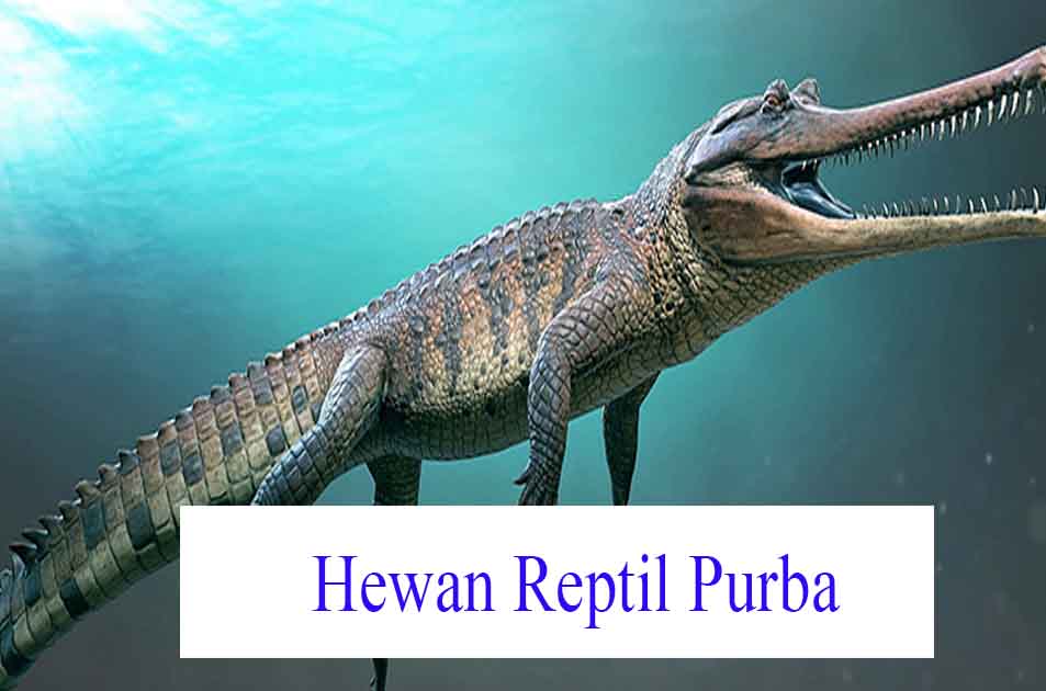 14 Jenis Hewan  Reptil  Purba dan  Penjelasannya  Hewan  Reptil 