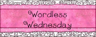 Wordless Wednesday