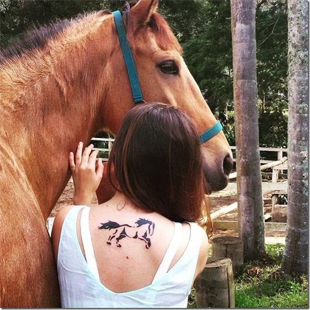 pasin-por-los-caballos pasin-por-los-caballos