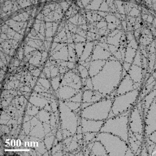 Caption: TEM image shows multiwalled carbon nanotubes coated with silver nanocrystals. Credit: Courtesy of Junhong Chen. Usage Restrictions: with photo credit.