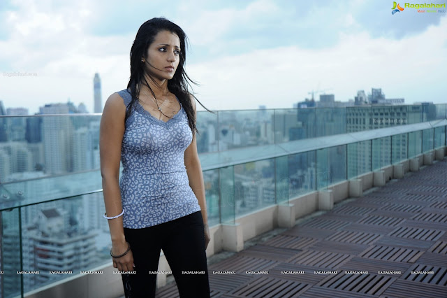 Trisha krishnan in samar movie