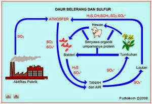 Daur Belerang (Sulfur)