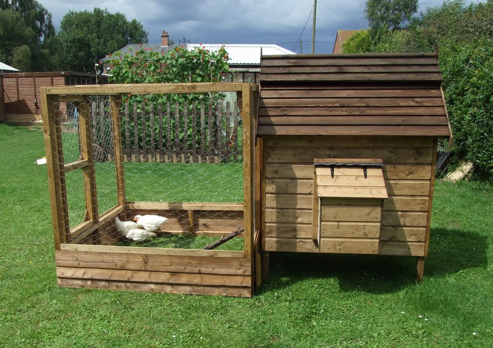 Chicken coops with 6 nesting boxes