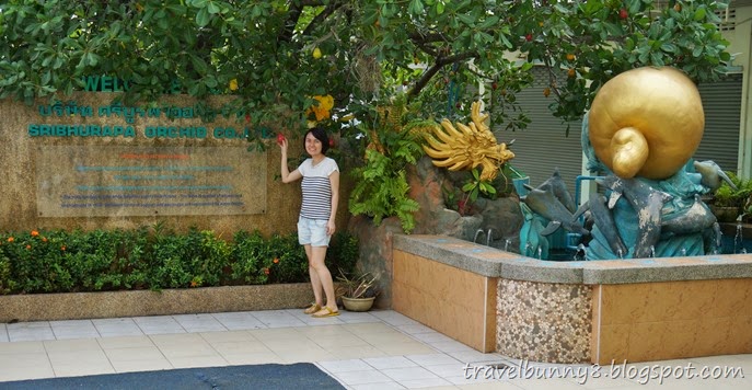 DSC02329 DSC02329